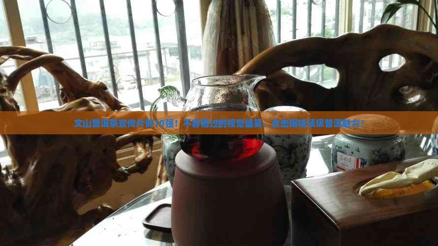 文山普洱茶宣传片前10强