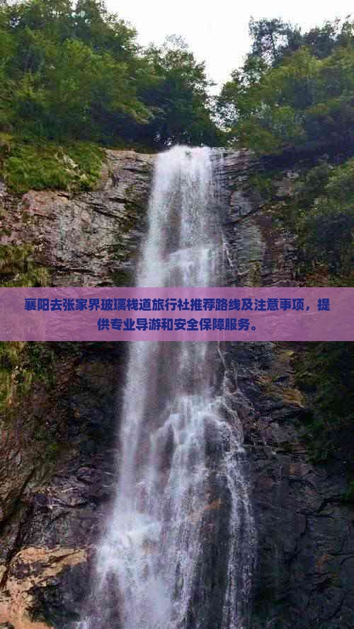 襄阳去张家界玻璃栈道旅行社