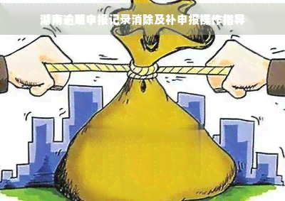 湖南逾期申报记录消除及补申报操作指导 湖南逾期申报记录消除及补申报操作指导