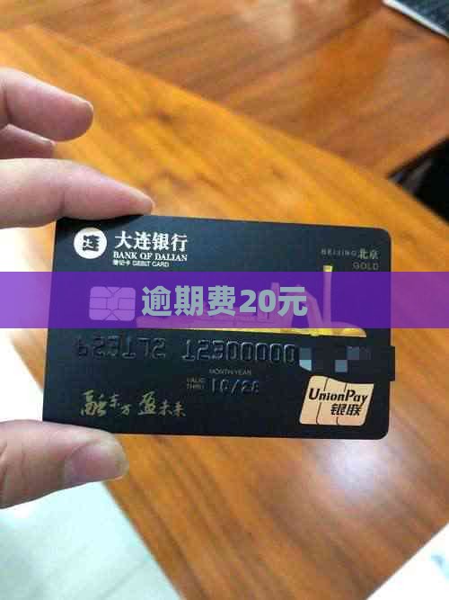 逾期费20元 逾期费20元