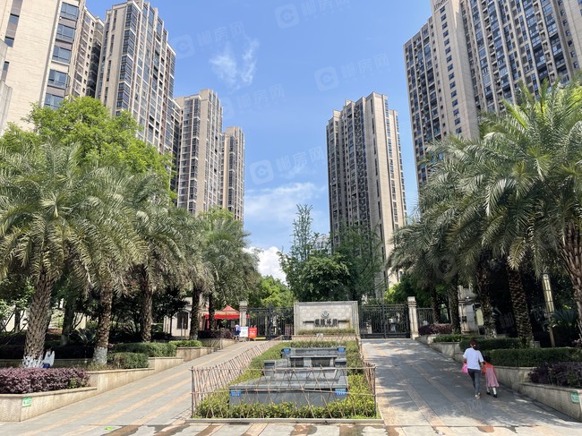 1652751438417405.jpg IMG_2322.JPG