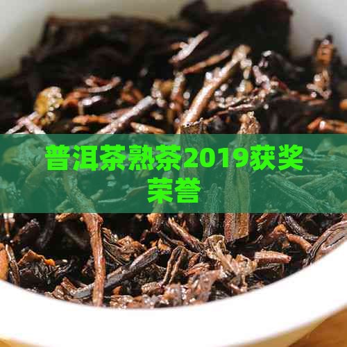 普洱茶熟茶2019获奖