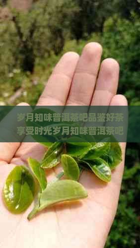 岁月知味普洱茶吧