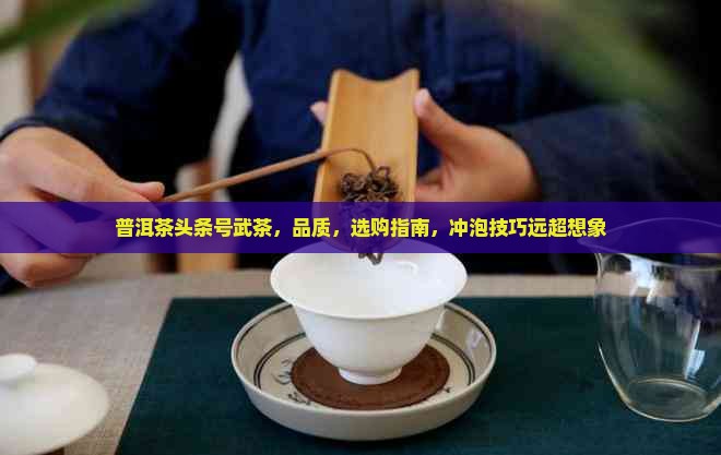 普洱茶头条号武茶 普洱茶头条号武茶