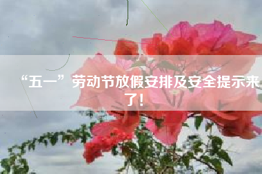 “五一”劳动节放假安排及安全提示来了！